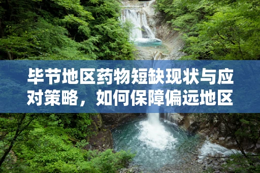 毕节地区药物短缺现状与应对策略，如何保障偏远地区医疗资源均衡？
