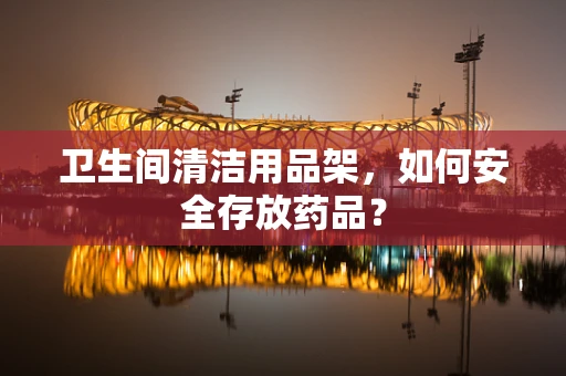 卫生间清洁用品架，如何安全存放药品？
