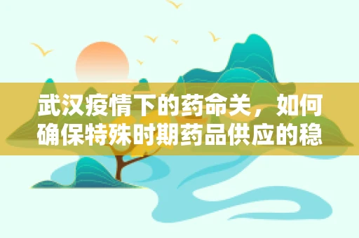 武汉疫情下的药命关，如何确保特殊时期药品供应的稳定？
