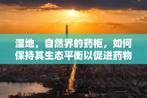 湿地，自然界的药柜，如何保持其生态平衡以促进药物安全？