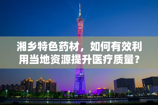 湘乡特色药材，如何有效利用当地资源提升医疗质量？