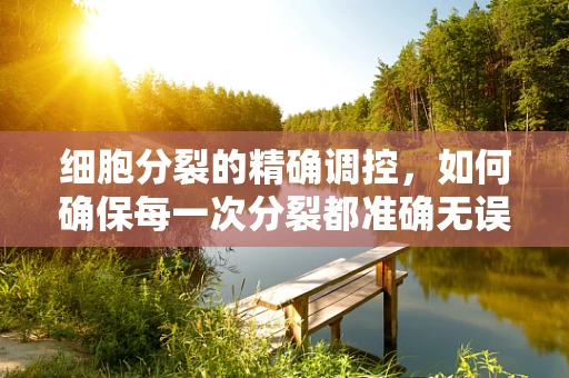 细胞分裂的精确调控，如何确保每一次分裂都准确无误？