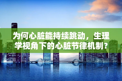 为何心脏能持续跳动，生理学视角下的心脏节律机制？