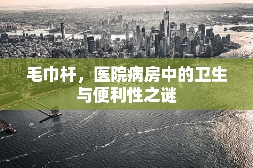 毛巾杆，医院病房中的卫生与便利性之谜