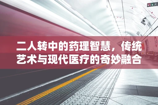 二人转中的药理智慧，传统艺术与现代医疗的奇妙融合