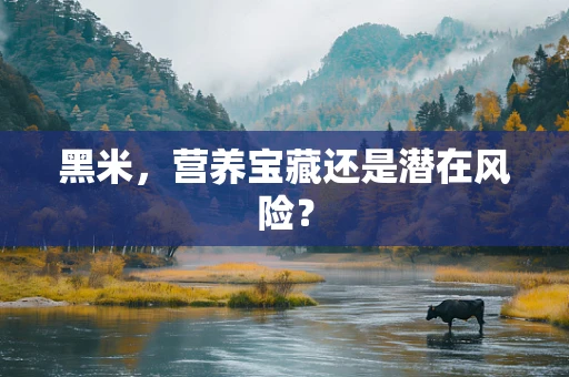 黑米，营养宝藏还是潜在风险？
