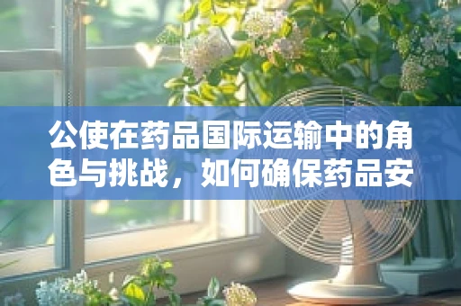 公使在药品国际运输中的角色与挑战，如何确保药品安全抵达？