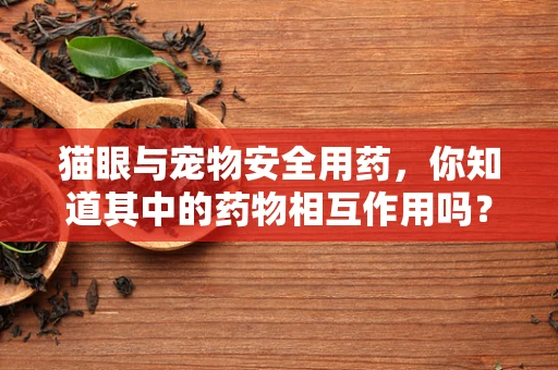 猫眼与宠物安全用药，你知道其中的药物相互作用吗？