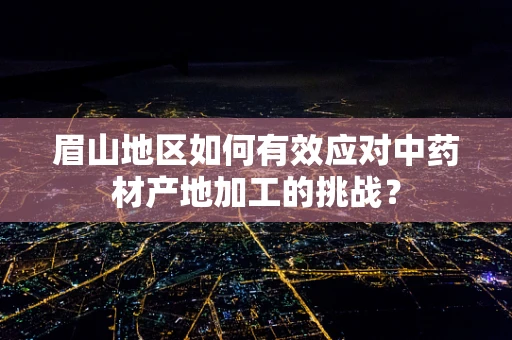 眉山地区如何有效应对中药材产地加工的挑战？