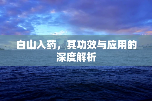 白山入药，其功效与应用的深度解析