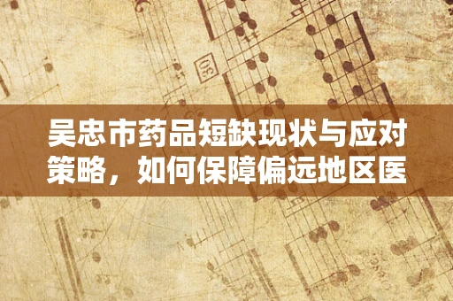 吴忠市药品短缺现状与应对策略，如何保障偏远地区医疗资源均衡？