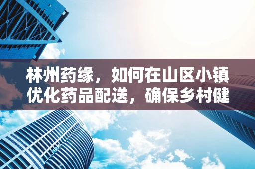 林州药缘，如何在山区小镇优化药品配送，确保乡村健康防线稳固？