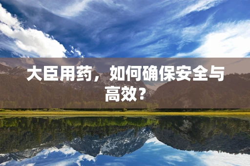 大臣用药，如何确保安全与高效？