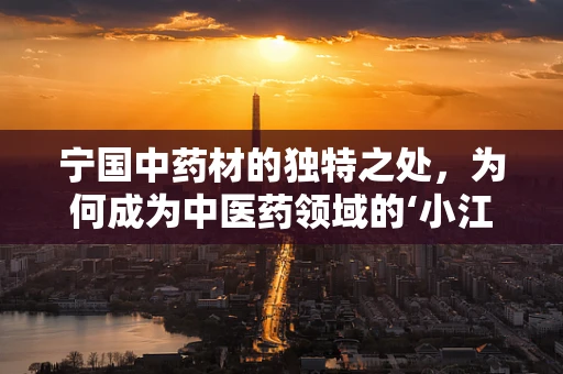 宁国中药材的独特之处，为何成为中医药领域的‘小江南’？