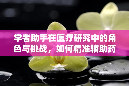 学者助手在医疗研究中的角色与挑战，如何精准辅助药物信息检索？