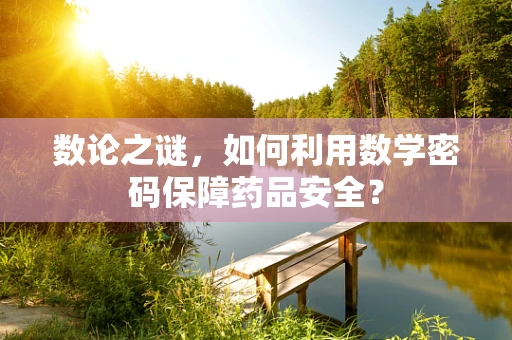 数论之谜，如何利用数学密码保障药品安全？