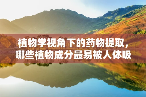 植物学视角下的药物提取，哪些植物成分最易被人体吸收？