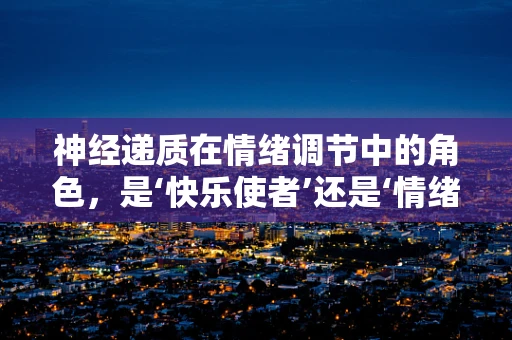 神经递质在情绪调节中的角色，是‘快乐使者’还是‘情绪开关’？