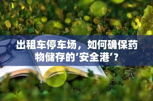 出租车停车场，如何确保药物储存的‘安全港’？