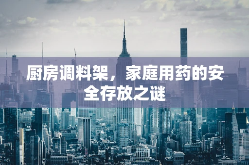 厨房调料架，家庭用药的安全存放之谜