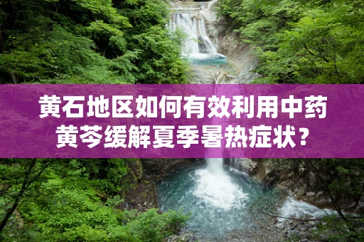 黄石地区如何有效利用中药黄芩缓解夏季暑热症状？