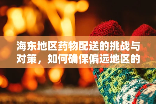 海东地区药物配送的挑战与对策，如何确保偏远地区的医疗资源均衡？