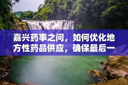 嘉兴药事之问，如何优化地方性药品供应，确保最后一公里的精准送达？