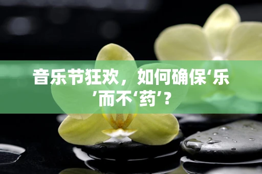 音乐节狂欢，如何确保‘乐’而不‘药’？
