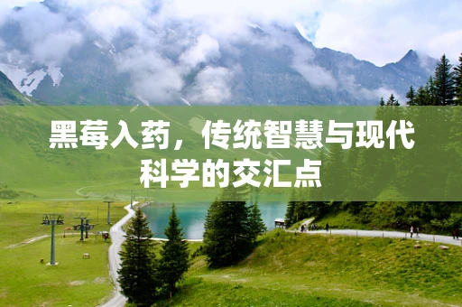 黑莓入药，传统智慧与现代科学的交汇点