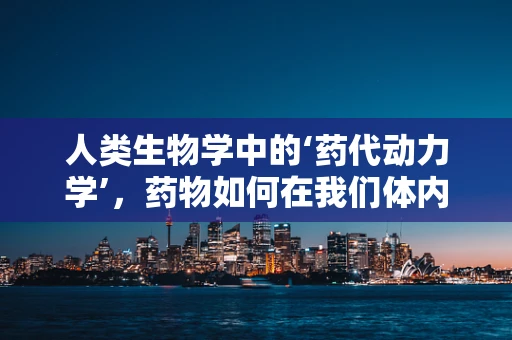 人类生物学中的‘药代动力学’，药物如何在我们体内旅行？