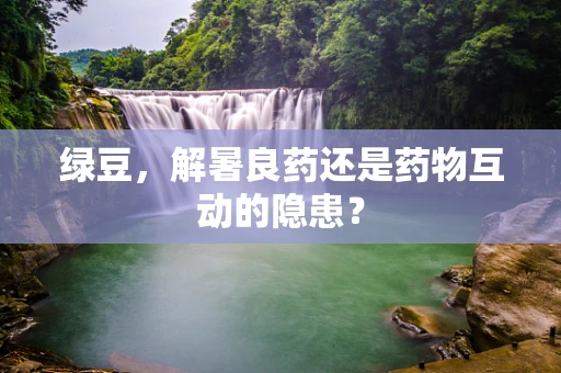 绿豆，解暑良药还是药物互动的隐患？