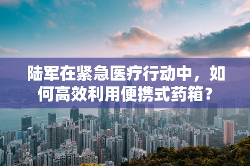 陆军在紧急医疗行动中，如何高效利用便携式药箱？