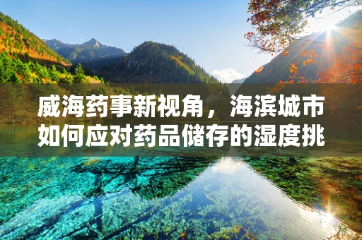 威海药事新视角，海滨城市如何应对药品储存的湿度挑战？