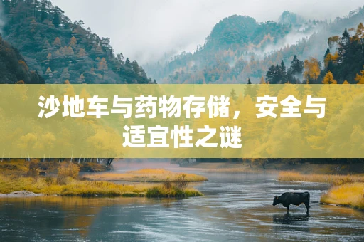 沙地车与药物存储，安全与适宜性之谜