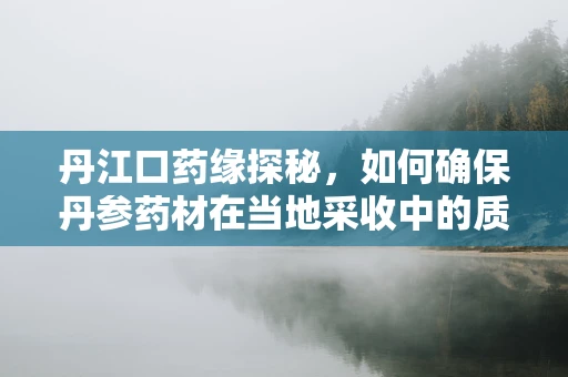 丹江口药缘探秘，如何确保丹参药材在当地采收中的质量与安全？