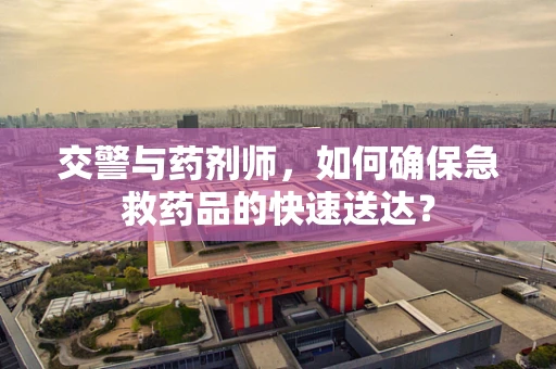 交警与药剂师，如何确保急救药品的快速送达？