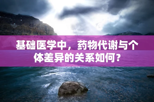 基础医学中，药物代谢与个体差异的关系如何？