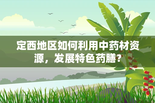 定西地区如何利用中药材资源，发展特色药膳？