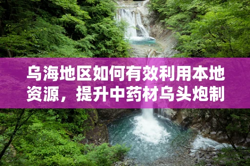 乌海地区如何有效利用本地资源，提升中药材乌头炮制技术？