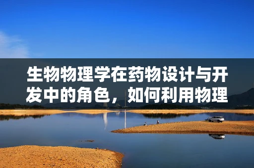 生物物理学在药物设计与开发中的角色，如何利用物理原理优化药物效能？