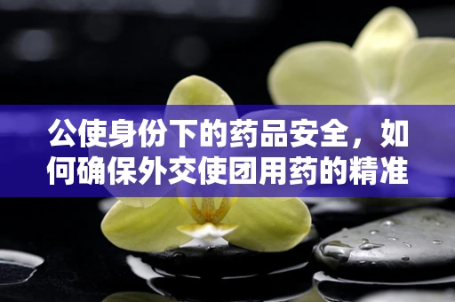 公使身份下的药品安全，如何确保外交使团用药的精准与安全？