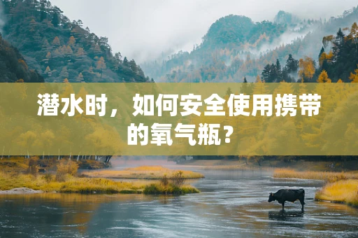 潜水时，如何安全使用携带的氧气瓶？