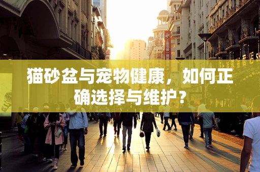 猫砂盆与宠物健康，如何正确选择与维护？
