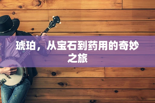 琥珀，从宝石到药用的奇妙之旅
