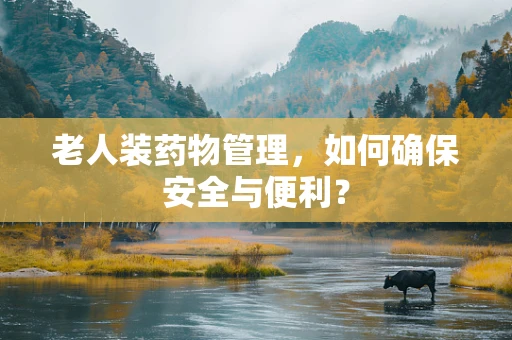老人装药物管理，如何确保安全与便利？