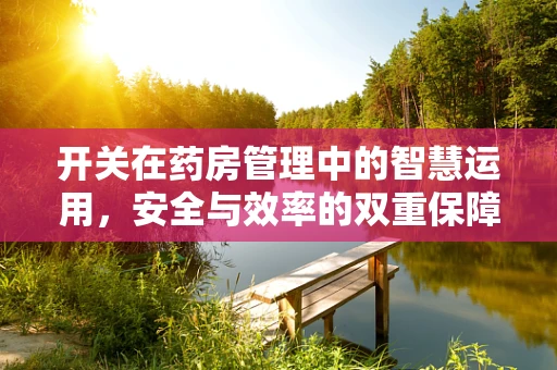 开关在药房管理中的智慧运用，安全与效率的双重保障