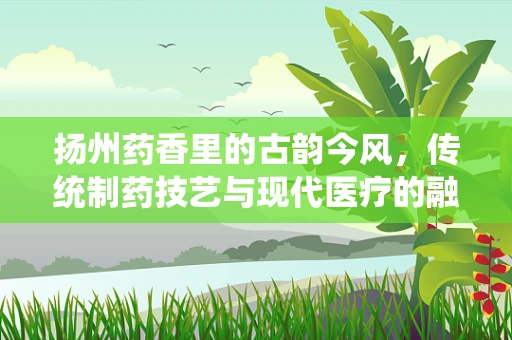 扬州药香里的古韵今风，传统制药技艺与现代医疗的融合