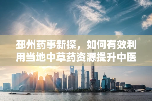 邳州药事新探，如何有效利用当地中草药资源提升中医药服务？