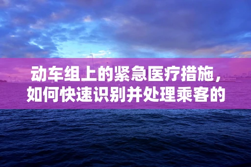 动车组上的紧急医疗措施，如何快速识别并处理乘客的突发药物需求？