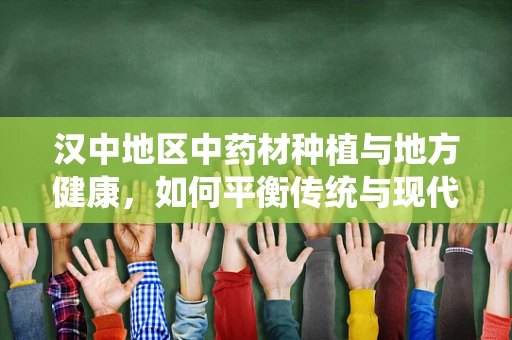 汉中地区中药材种植与地方健康，如何平衡传统与现代？